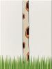 изображение шея жирафа + трава